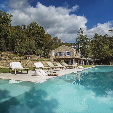 Villa Torrecorta Грожнян Экстерьер фото